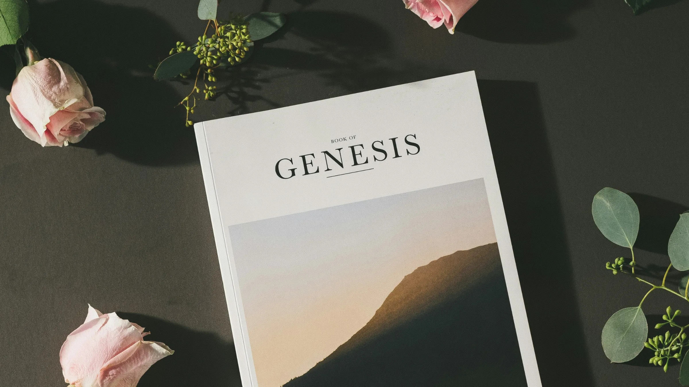 Carine Todmia curated image of the book of Genesis