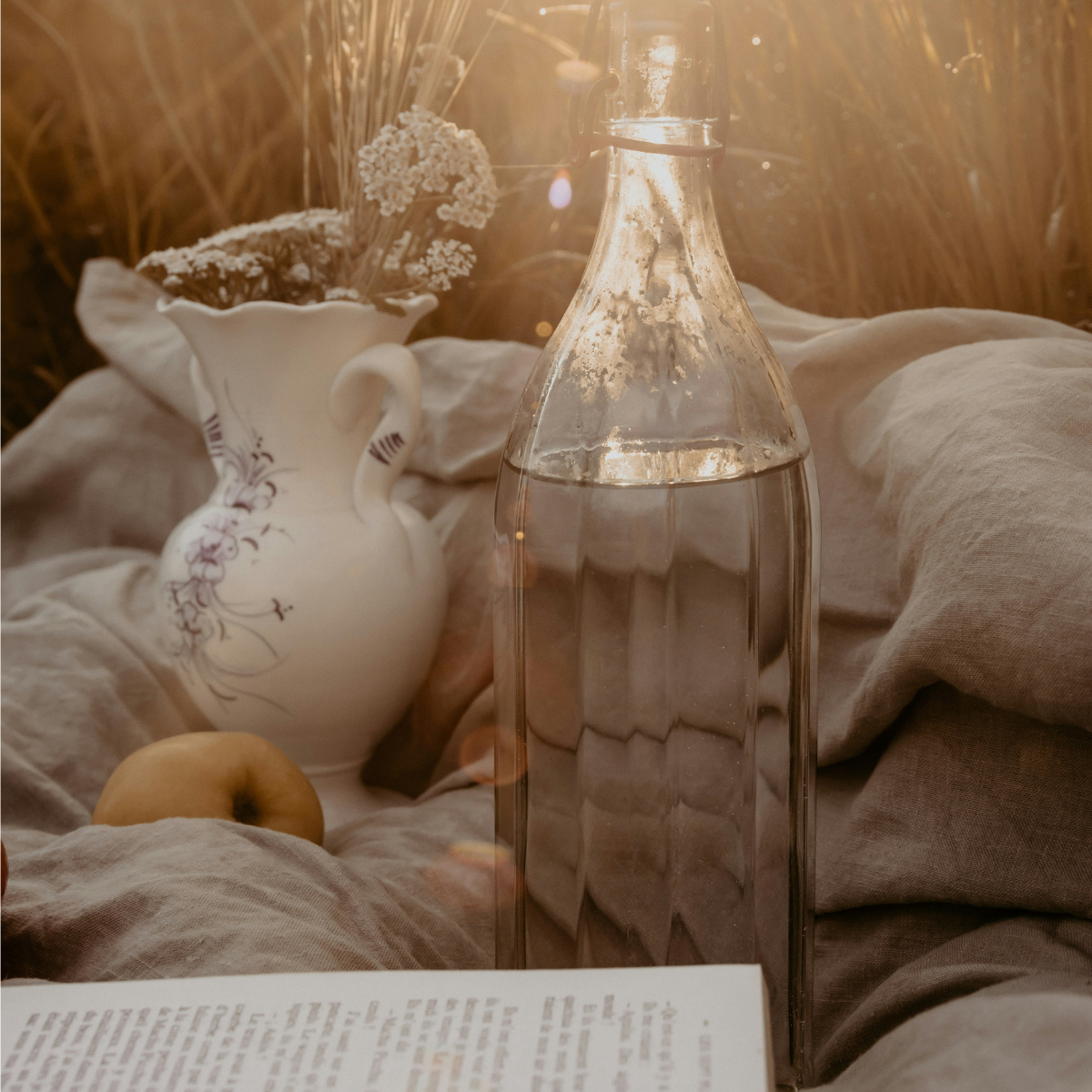 Carine Todmia Tech Stack